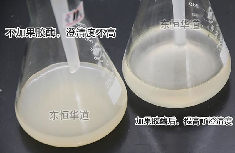 圖酶制劑在果汁加工中的應用