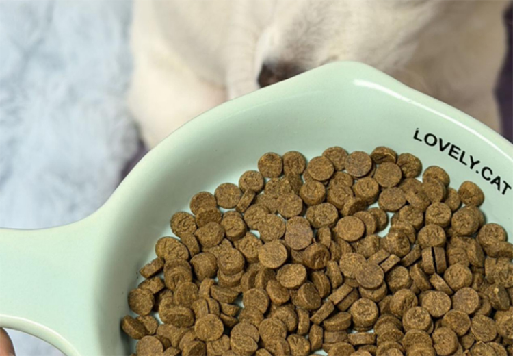 雞肝漿酶解狗糧