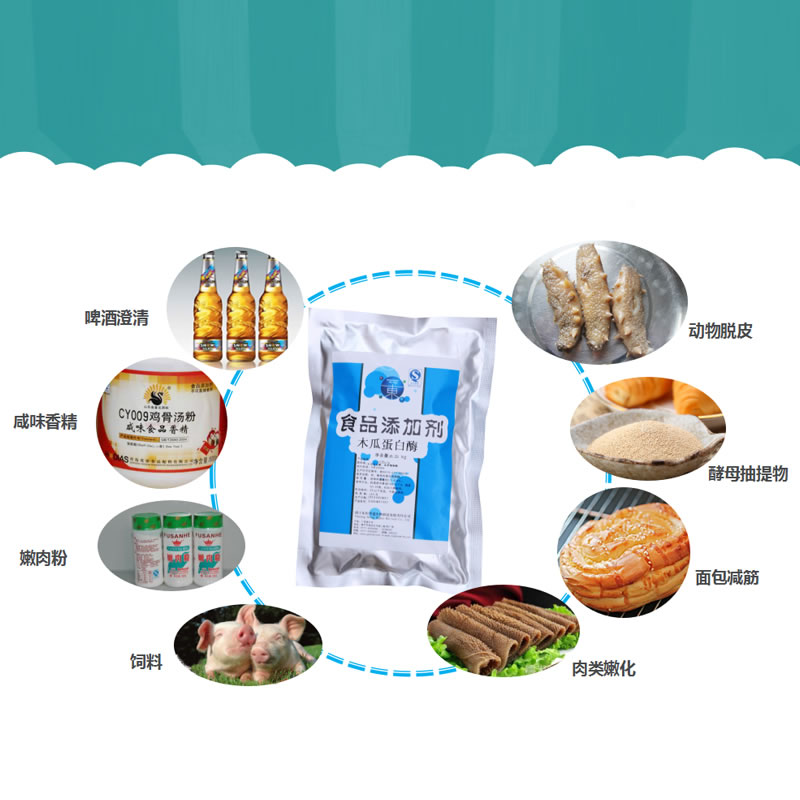 木瓜蛋白酶在食品加工行業的應用