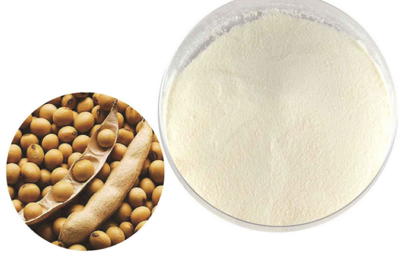 酶解大豆蛋白制備大豆蛋白肽